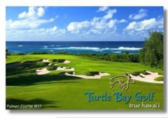 夏威夷高尔夫自由行 欧胡岛高尔夫全体验