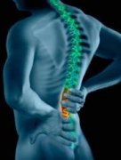 增强躯干肌肉强度 缓解腰部疼痛防止受损